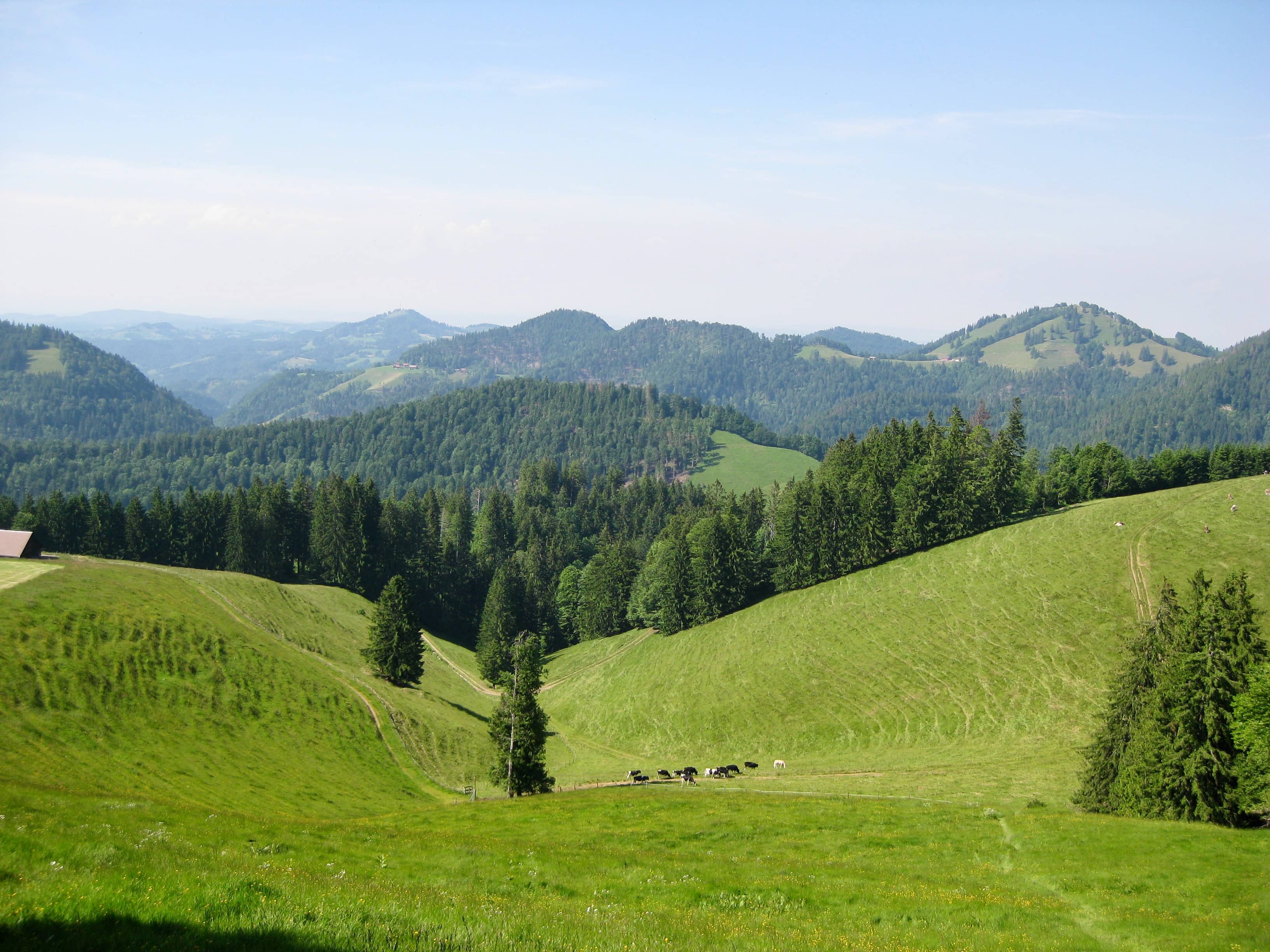 Tössbergland-Idylle